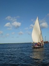 P1010478.JPG, janv. 2013 P1010478.JPG